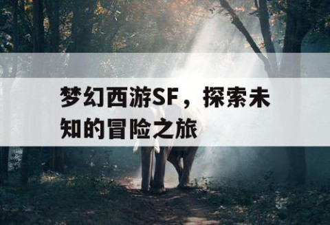 梦幻西游SF，探索未知的冒险之旅