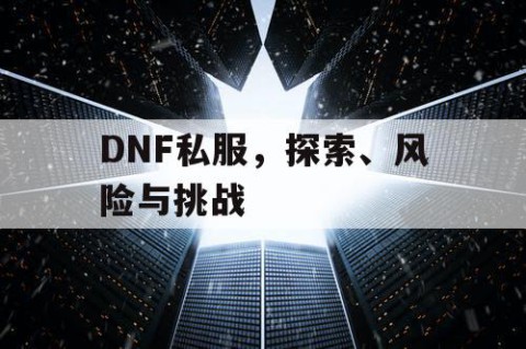 DNF私服，探索、风险与挑战