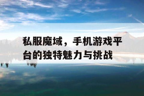 私服魔域，手机游戏平台的独特魅力与挑战