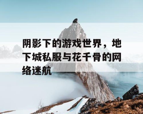 阴影下的游戏世界，地下城私服与花千骨的网络迷航