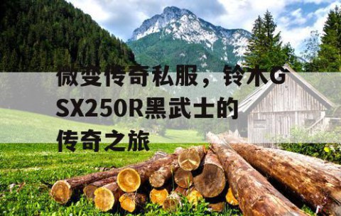 微变传奇私服,铃木GSX250R黑武士的传奇之旅