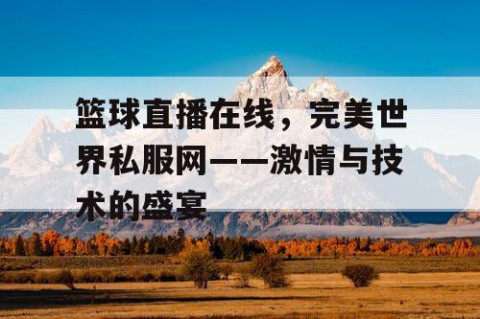 篮球直播在线，完美世界私服网——激情与技术的盛宴