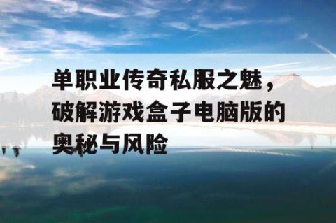 单职业传奇私服之魅,破解游戏盒子电脑版的奥秘与风险