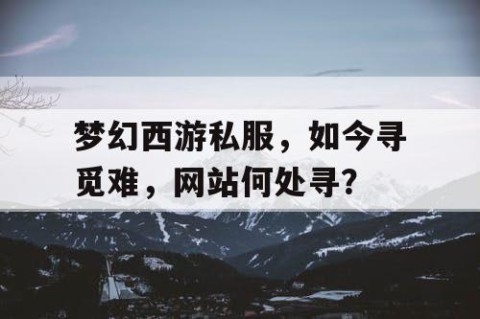 梦幻西游私服，如今寻觅难，网站何处寻？