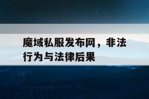 魔域私服发布网，非法行为与法律后果