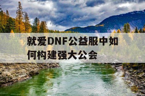 就爱DNF公益服中如何构建强大公会