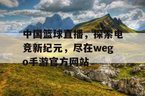 中国篮球直播，探索电竞新纪元，尽在wego手游官方网站
