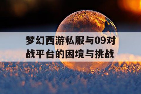 梦幻西游私服与09对战平台的困境与挑战