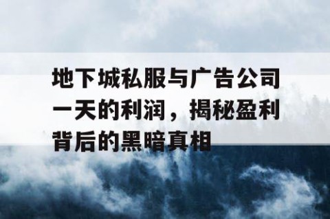 地下城私服与广告公司一天的利润，揭秘盈利背后的黑暗真相