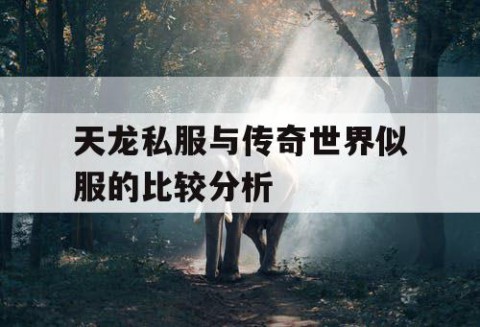 天龙私服与传奇世界似服的比较分析