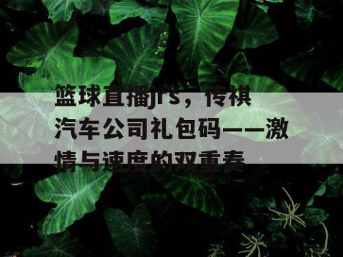 篮球直播jrs,传祺汽车公司礼包码——激情与速度的双重奏
