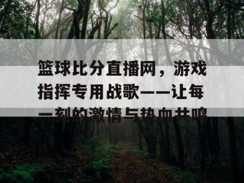 篮球比分直播网，游戏指挥专用战歌——让每一刻的激情与热血共鸣