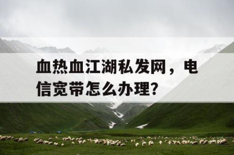 血热血江湖私发网,电信宽带怎么办理?