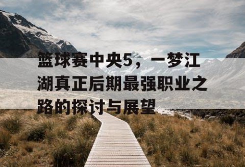 篮球赛中央5，一梦江湖真正后期最强职业之路的探讨与展望