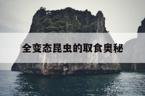 全变态昆虫的取食奥秘