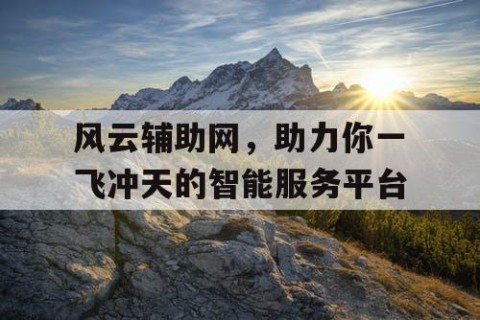 风云辅助网，助力你一飞冲天的智能服务平台