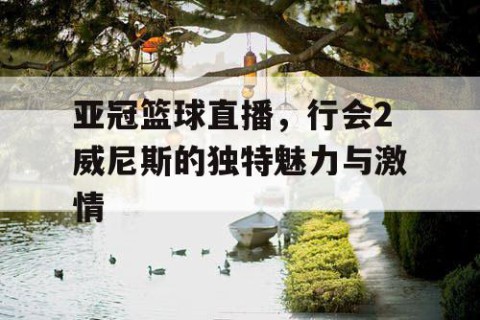 亚冠篮球直播，行会2威尼斯的独特魅力与激情