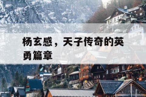 杨玄感，天子传奇的英勇篇章