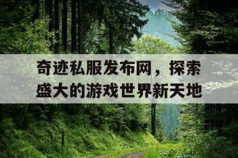 奇迹私服发布网，探索盛大的游戏世界新天地