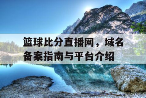 篮球比分直播网,域名备案指南与平台介绍