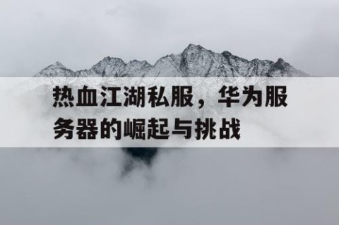 热血江湖私服，华为服务器的崛起与挑战