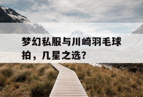 梦幻私服与川崎羽毛球拍，几星之选？