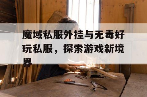 魔域私服外挂与无毒好玩私服，探索游戏新境界