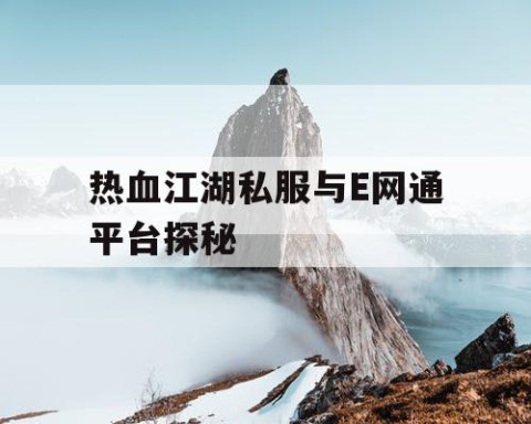 热血江湖私服与E网通平台探秘