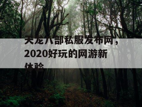 天龙八部私服发布网，2020好玩的网游新体验