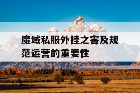 魔域私服外挂之害及规范运营的重要性