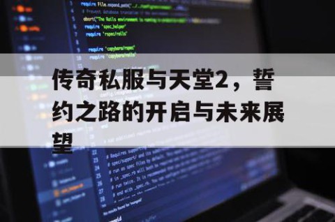 传奇私服与天堂2，誓约之路的开启与未来展望