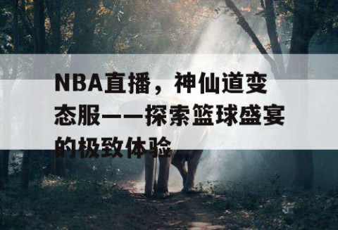 NBA直播，神仙道变态服——探索篮球盛宴的极致体验
