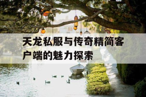 天龙私服与传奇精简客户端的魅力探索