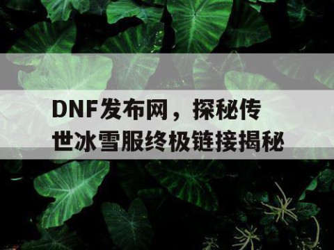 DNF发布网，探秘传世冰雪服终极链接揭秘