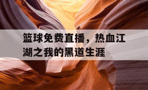 篮球免费直播，热血江湖之我的黑道生涯