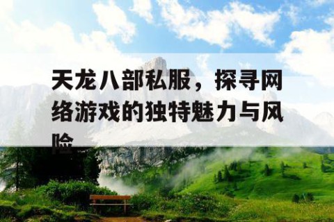 天龙八部私服，探寻网络游戏的独特魅力与风险