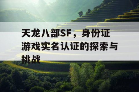 天龙八部SF，身份证游戏实名认证的探索与挑战