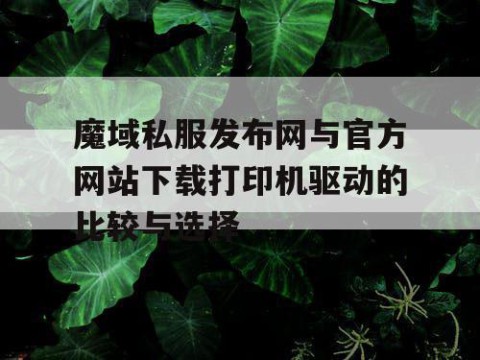 魔域私服发布网与官方网站下载打印机驱动的比较与选择