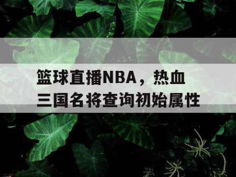 篮球直播NBA，热血三国名将查询初始属性