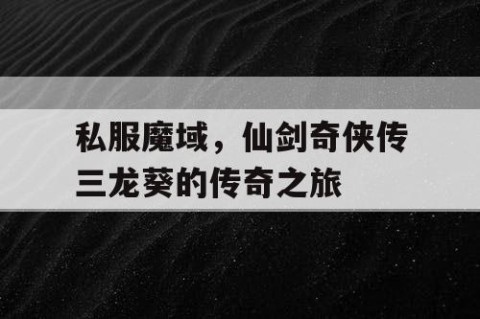 私服魔域，仙剑奇侠传三龙葵的传奇之旅