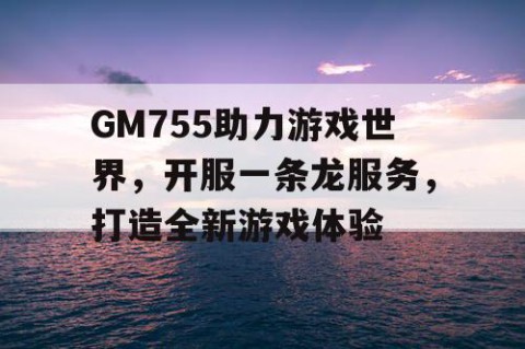 GM755助力游戏世界，开服一条龙服务，打造全新游戏体验