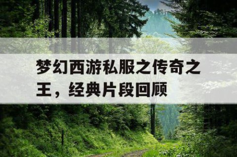 梦幻西游私服之传奇之王，经典片段回顾