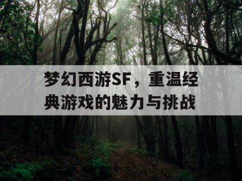 梦幻西游SF，重温经典游戏的魅力与挑战