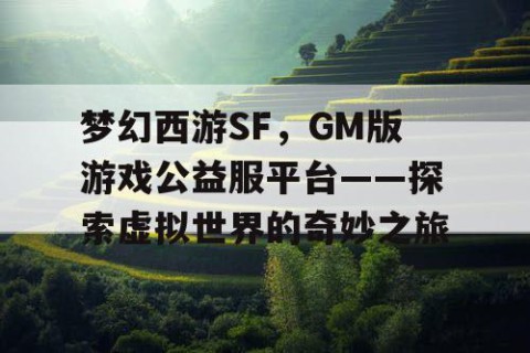 梦幻西游SF，GM版游戏公益服平台——探索虚拟世界的奇妙之旅