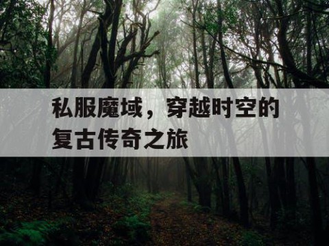 私服魔域，穿越时空的复古传奇之旅