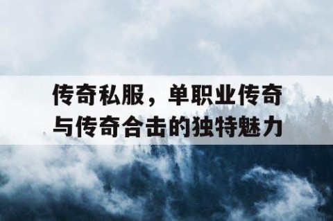 传奇私服,单职业传奇与传奇合击的独特魅力