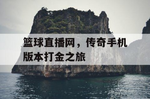 篮球直播网，传奇手机版本打金之旅