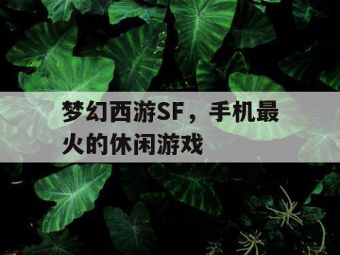梦幻西游SF，手机最火的休闲游戏