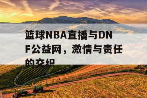 篮球NBA直播与DNF公益网，激情与责任的交织