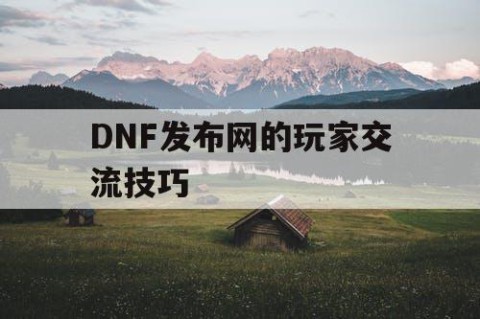 DNF发布网的玩家交流技巧